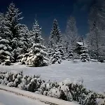 Relaxation In покращене Chalet