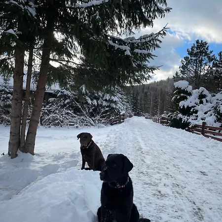 Relaxation In покращене Σαλέ Guta