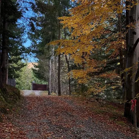 Σαλέ Relaxation In покращене