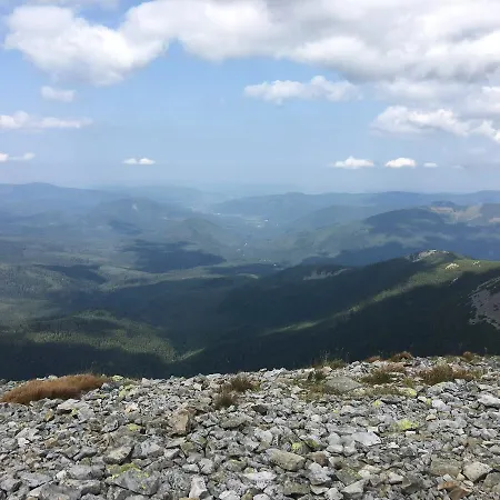 Relaxation In покращене Guta