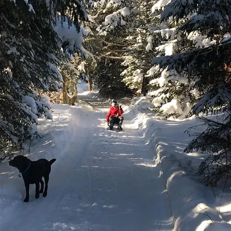 Alpehytte Relaxation In покращене Guta
