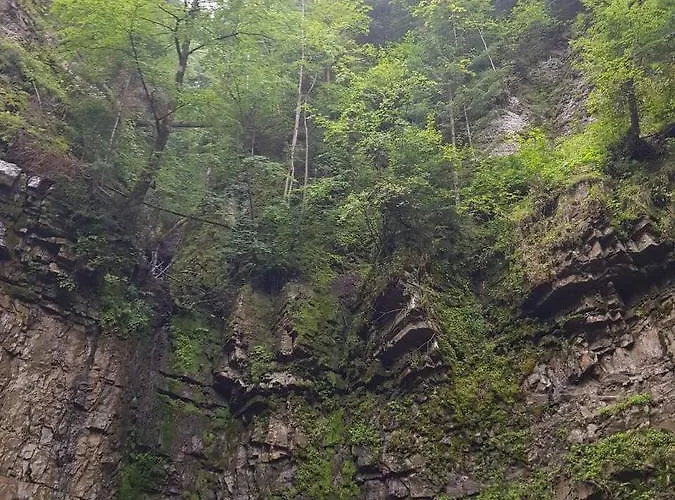 Alpstuga Relaxation In покращене