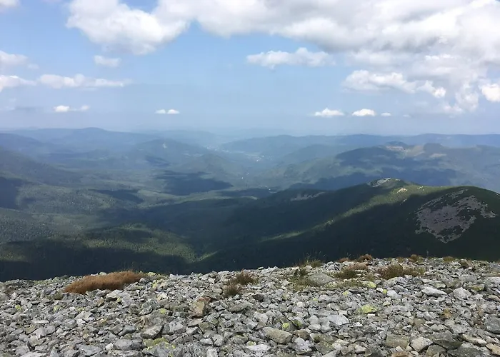 Relaxation In покращене Guta