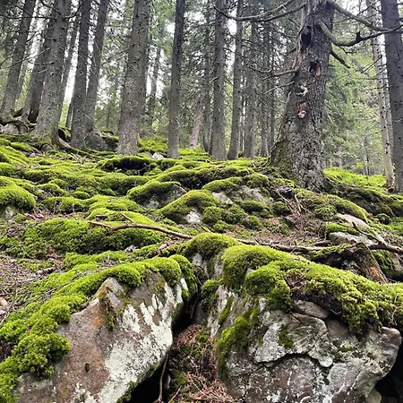 Domek alpejski Relaxation In покращене Guta