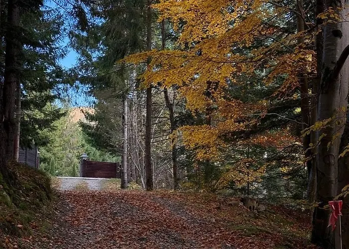 木屋 Relaxation In покращене